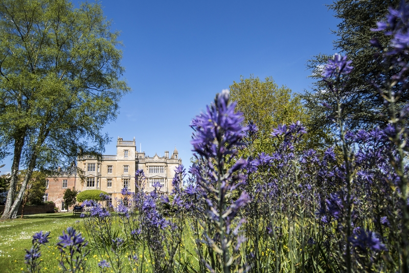 Englefield House Garden